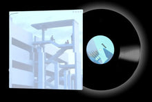 Load image into Gallery viewer, NOT IMPORTANT Vinyl
